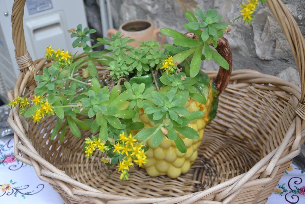 Bujtina Kodiket Guesthouse Berat Bagian luar foto
